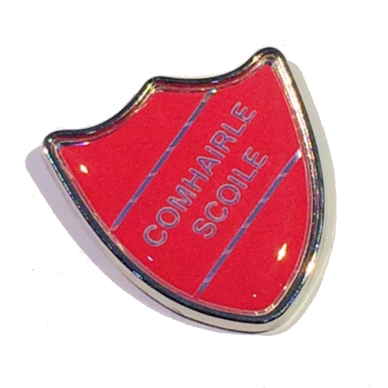 COMHAIRLE SCOILE badge